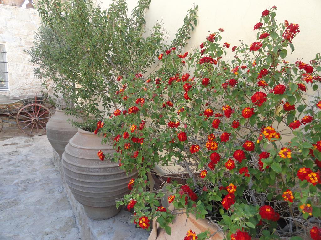 Villa كاميلاريون المظهر الخارجي الصورة